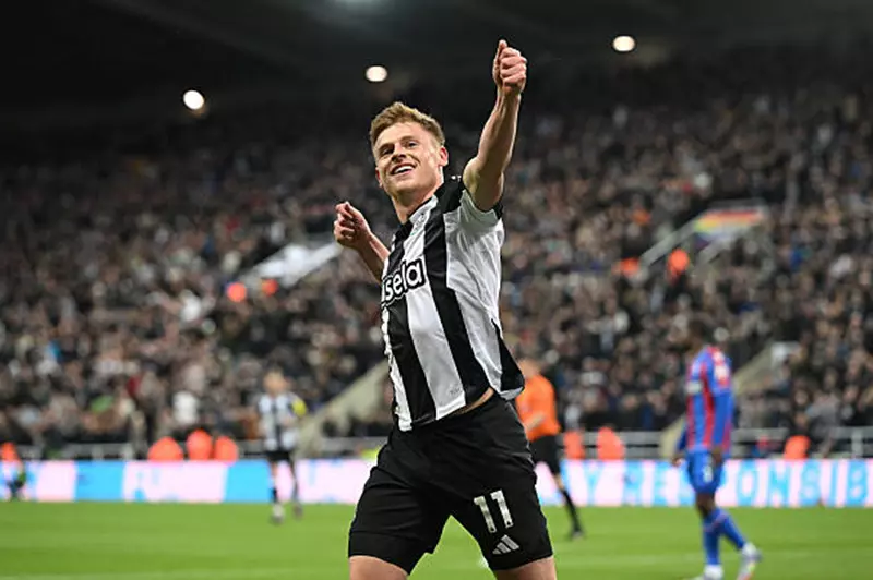 هارفي بارنز لاعب نيوكاسل يونايتد